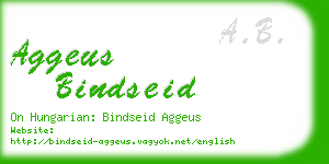 aggeus bindseid business card